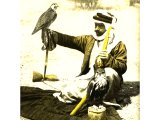 The sport of falconry. This falconer holds a desert falcon on his wrist and another trained hunting bird at his side. An early photograph.